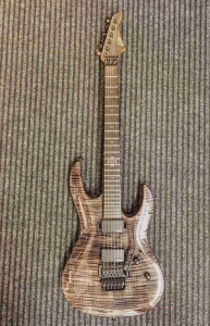 ibanezarkanecustom.jpg