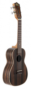 lehoaleblhuc_arkguitarsmusicshop.png