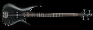 sr300e_ipt_1p_02_en_1.png